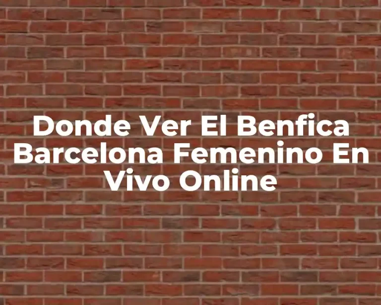 Donde Ver El Benfica Barcelona Femenino En Vivo Online