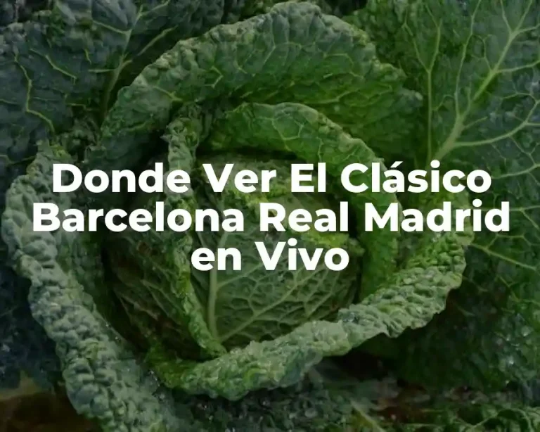 Donde Ver El Clásico Barcelona Real Madrid en Vivo