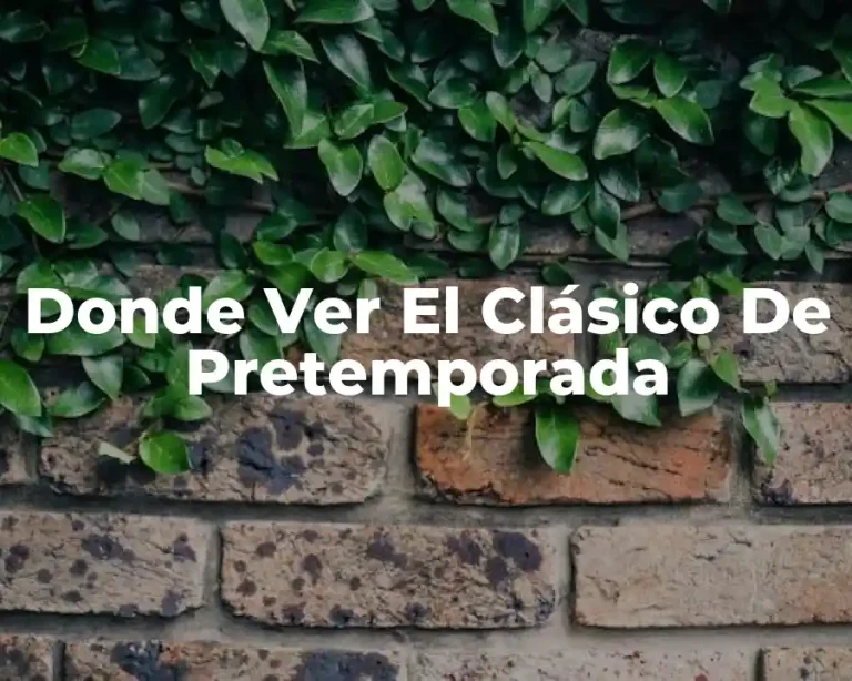 Donde Ver El Clásico De Pretemporada