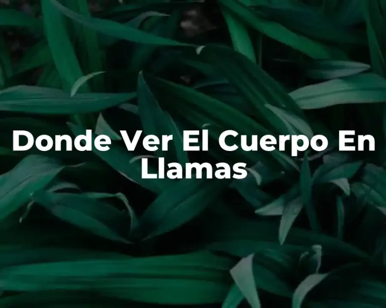 Donde Ver El Cuerpo En Llamas