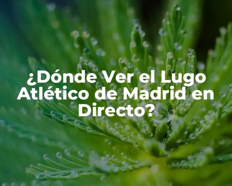 ¿Dónde Ver el Lugo Atlético de Madrid en Directo?