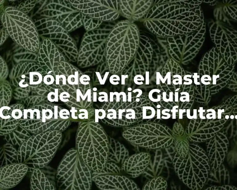 ¿Dónde Ver el Master de Miami? Guía Completa para Disfrutar del Tenis de Élite