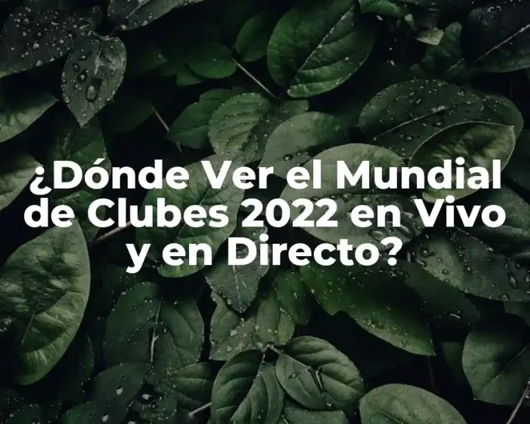¿Dónde Ver el Mundial de Clubes 2022 en Vivo y en Directo?