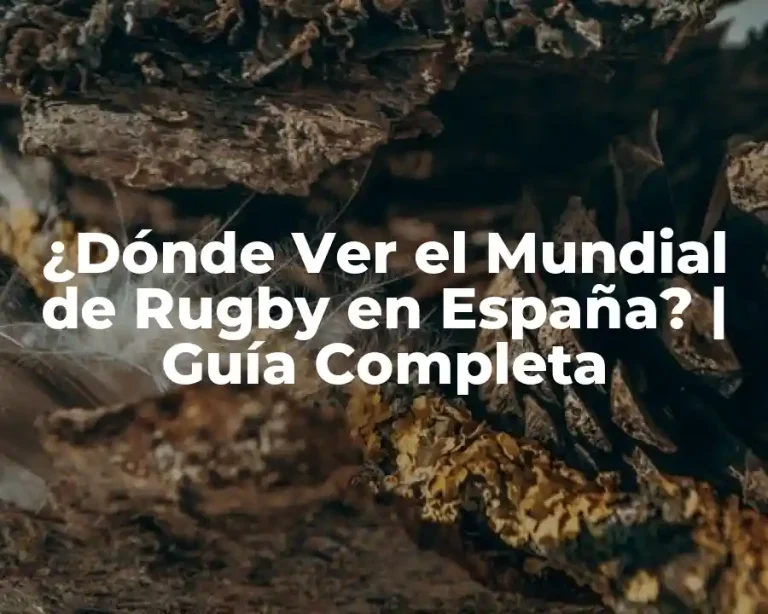 ¿Dónde Ver el Mundial de Rugby en España? | Guía Completa