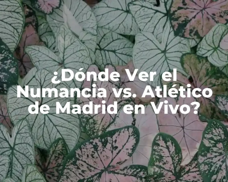 ¿Dónde Ver el Numancia vs. Atlético de Madrid en Vivo?