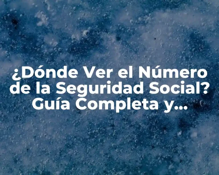 ¿Dónde Ver el Número de la Seguridad Social? Guía Completa y Actualizada