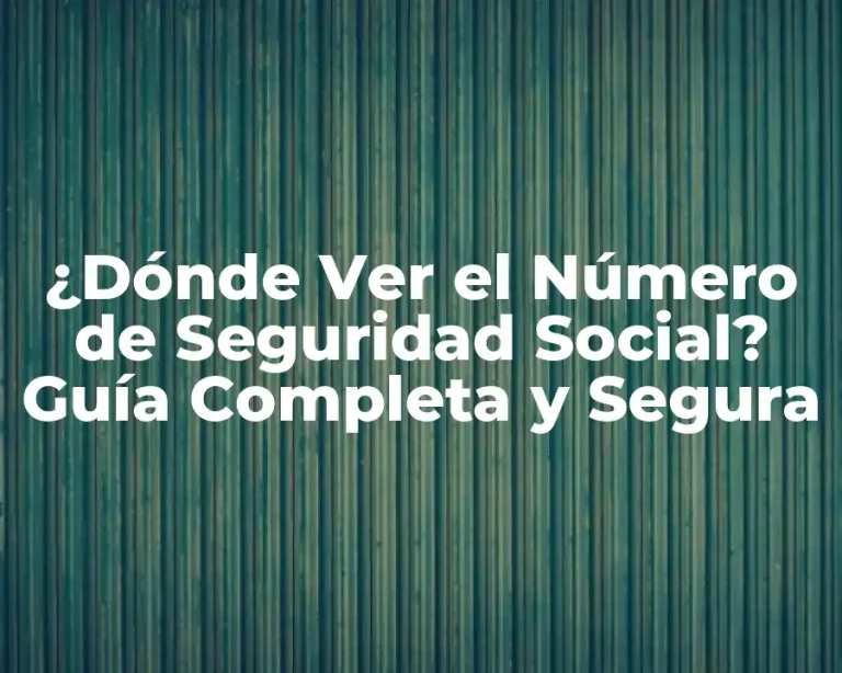 ¿Dónde Ver el Número de Seguridad Social? Guía Completa y Segura
