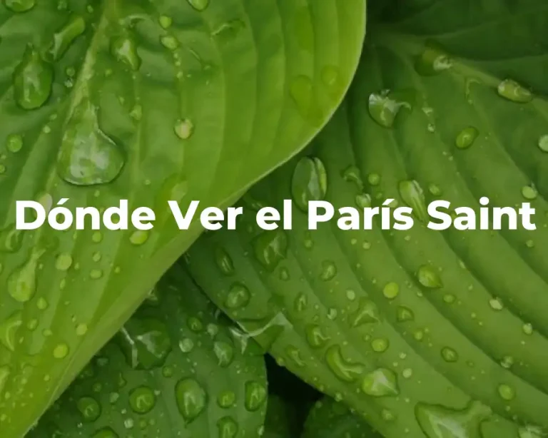 Dónde Ver el París Saint