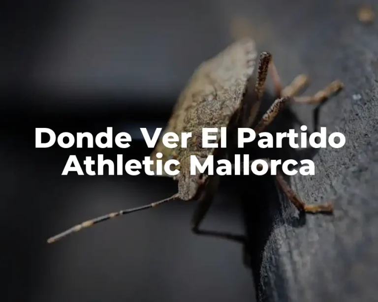 Donde Ver El Partido Athletic Mallorca