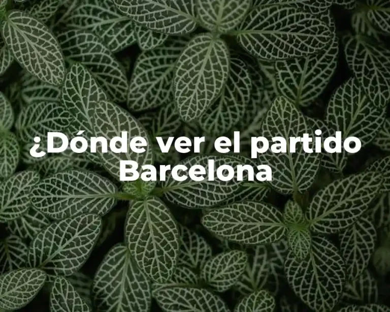 ¿Dónde ver el partido Barcelona