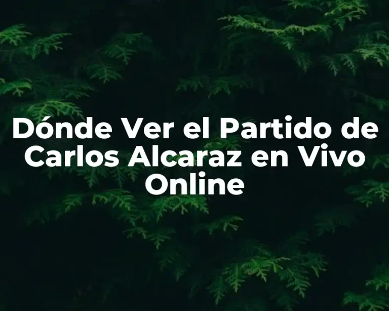 Dónde Ver el Partido de Carlos Alcaraz en Vivo Online