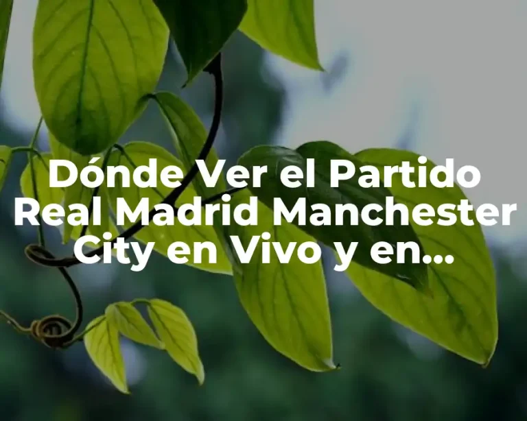 Dónde Ver el Partido Real Madrid Manchester City en Vivo y en Directo