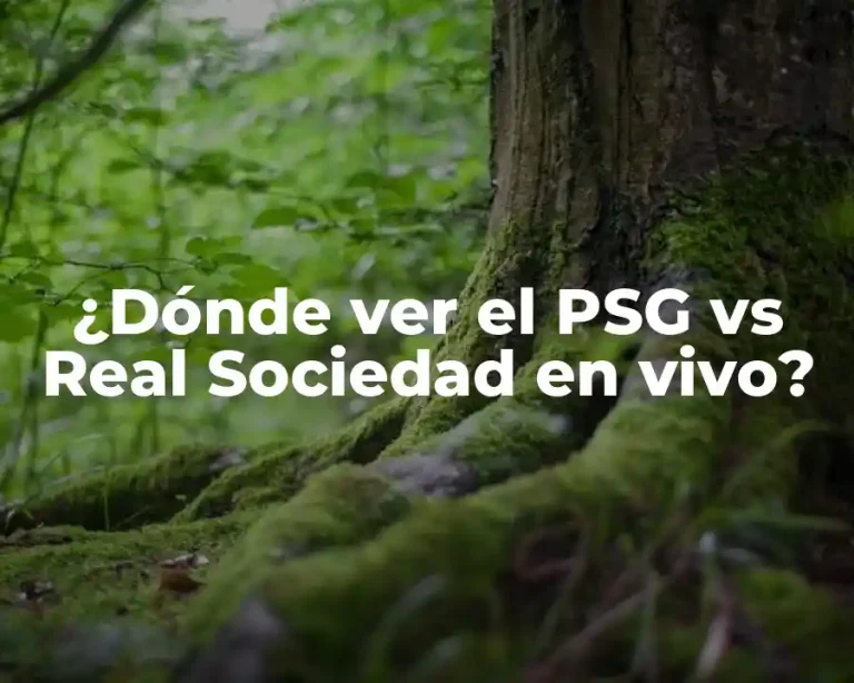 ¿Dónde ver el PSG vs Real Sociedad en vivo?