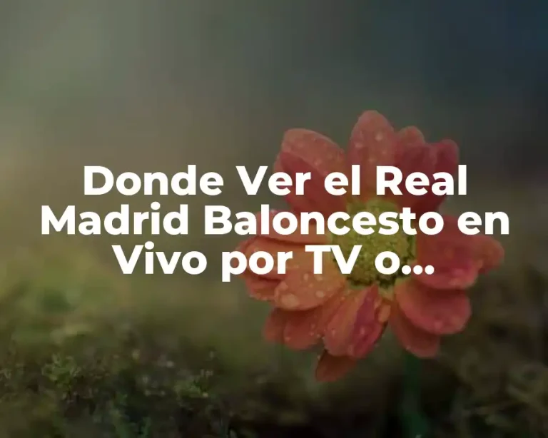 Donde Ver el Real Madrid Baloncesto en Vivo por TV o Streaming