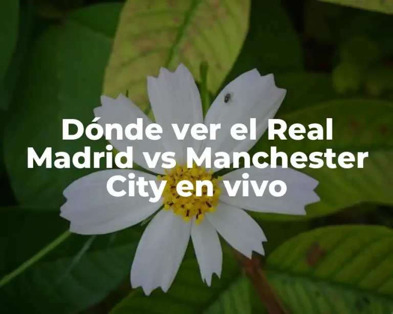 Dónde ver el Real Madrid vs Manchester City en vivo