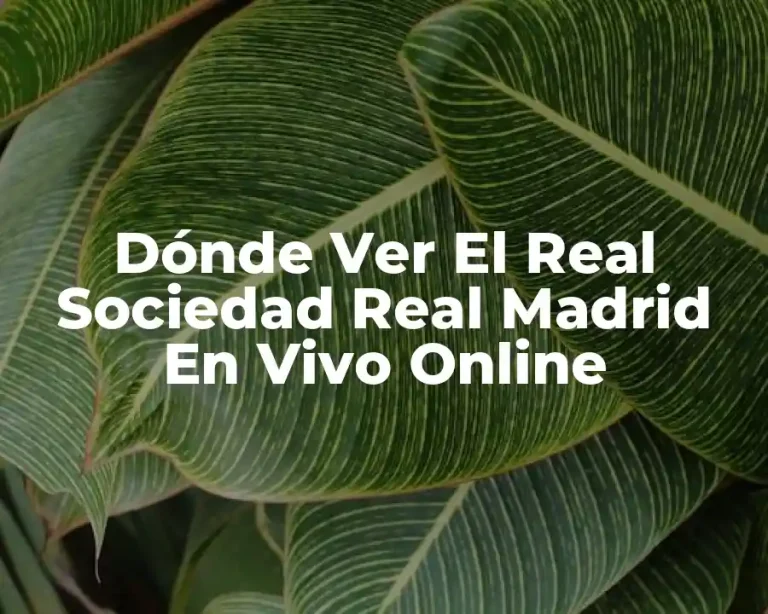 Dónde Ver El Real Sociedad Real Madrid En Vivo Online