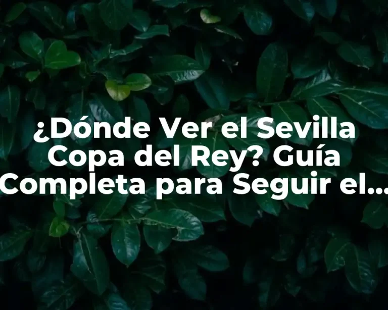 ¿Dónde Ver el Sevilla Copa del Rey? Guía Completa para Seguir el Camino del Sevilla en la Copa del Rey