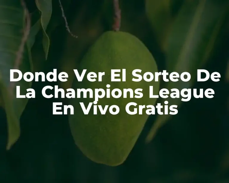 Donde Ver El Sorteo De La Champions League En Vivo Gratis