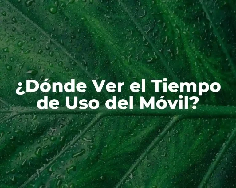¿Dónde Ver el Tiempo de Uso del Móvil?