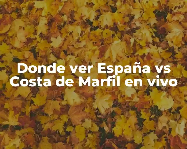 Donde ver España vs Costa de Marfil en vivo