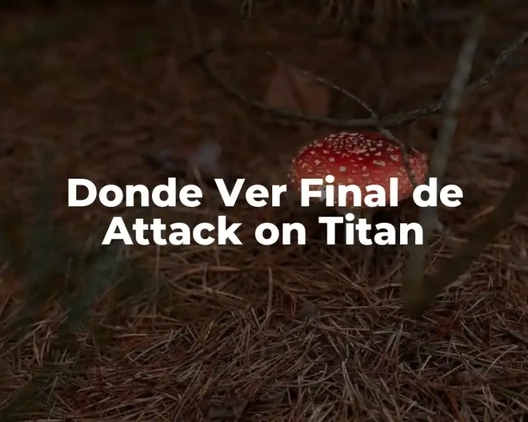 Donde Ver Final de Attack on Titan
