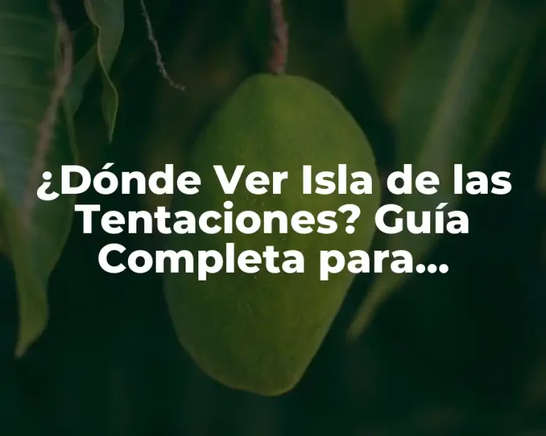 ¿Dónde Ver Isla de las Tentaciones? Guía Completa para Encontrar tu Programa Favorito