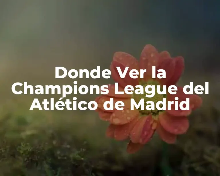Donde Ver la Champions League del Atlético de Madrid