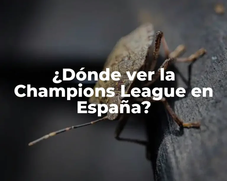 ¿Dónde ver la Champions League en España?
