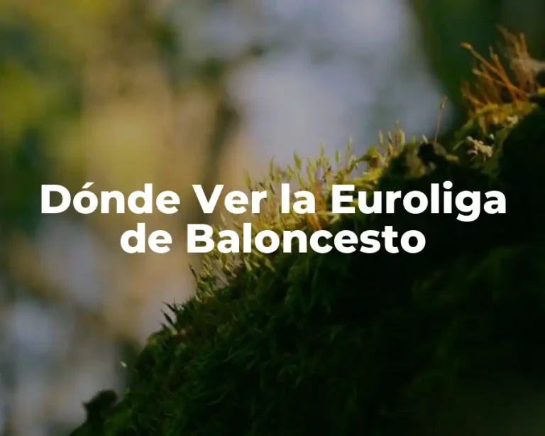 Dónde Ver la Euroliga de Baloncesto