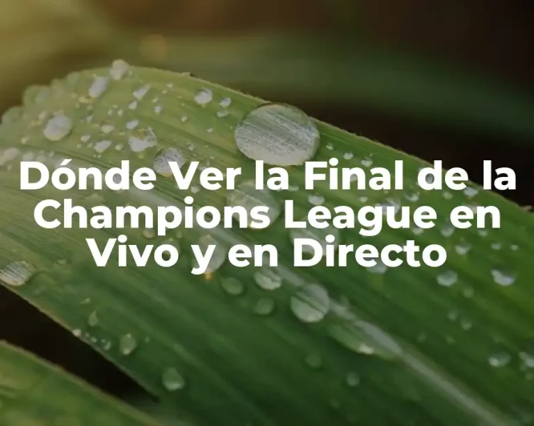 Dónde Ver la Final de la Champions League en Vivo y en Directo