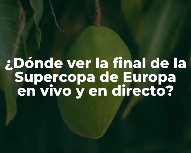 ¿Dónde ver la final de la Supercopa de Europa en vivo y en directo?