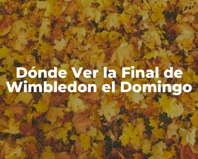 Dónde Ver la Final de Wimbledon el Domingo
