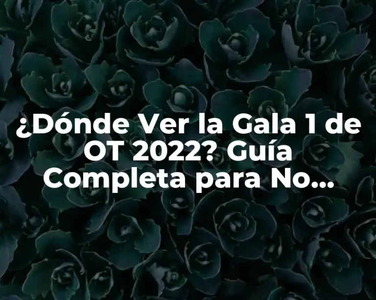 ¿Dónde Ver la Gala 1 de OT 2022? Guía Completa para No Perderse Nada