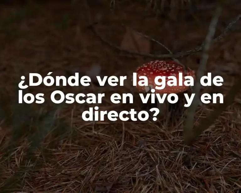 ¿Dónde ver la gala de los Oscar en vivo y en directo?