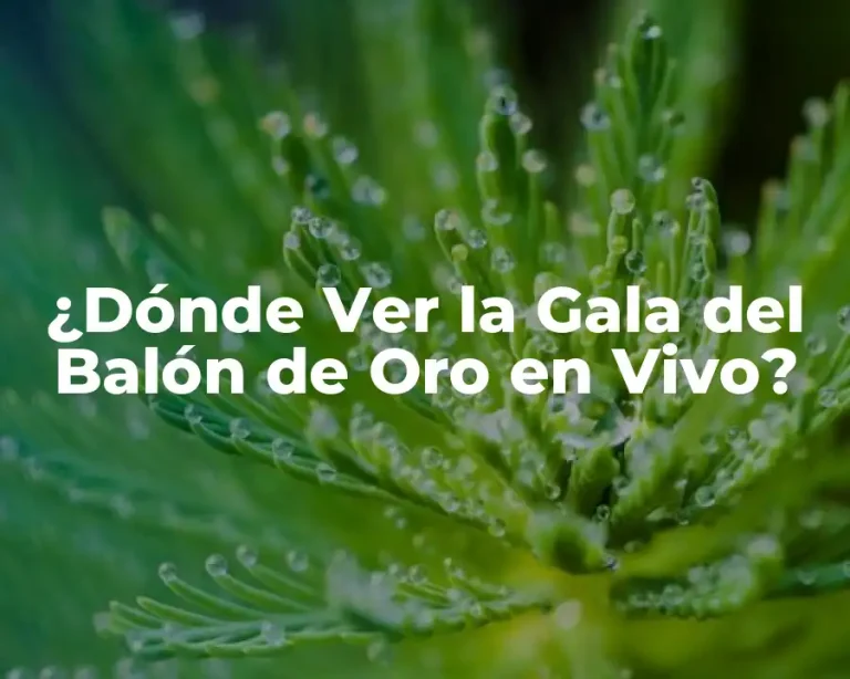 ¿Dónde Ver la Gala del Balón de Oro en Vivo?