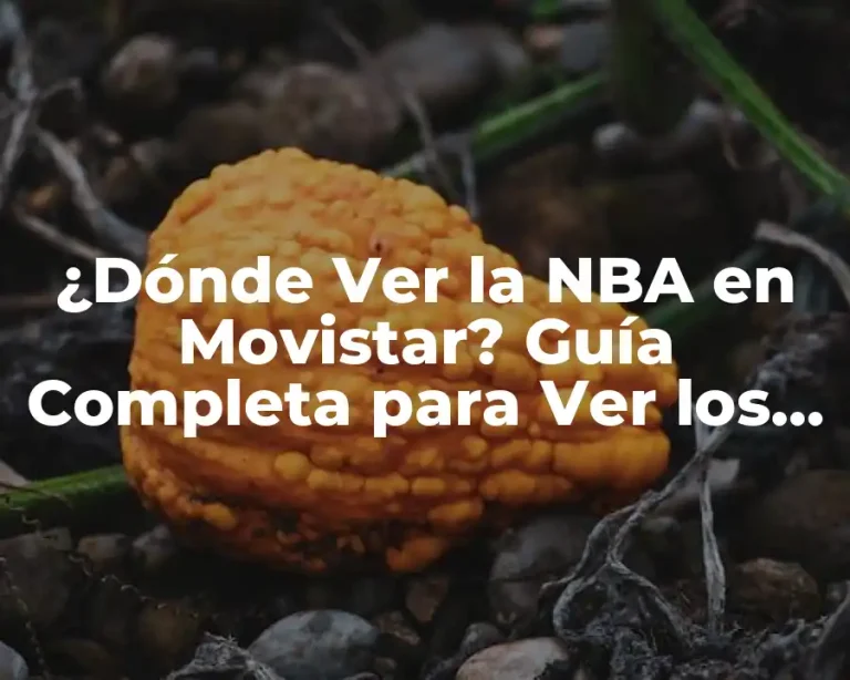 ¿Dónde Ver la NBA en Movistar? Guía Completa para Ver los Partidos de Baloncesto en Vivo