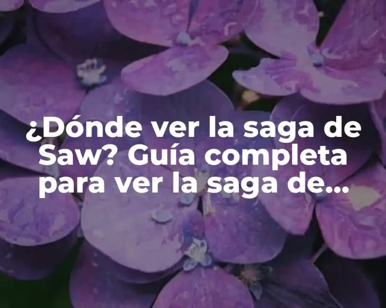 ¿Dónde ver la saga de Saw? Guía completa para ver la saga de terror más popular