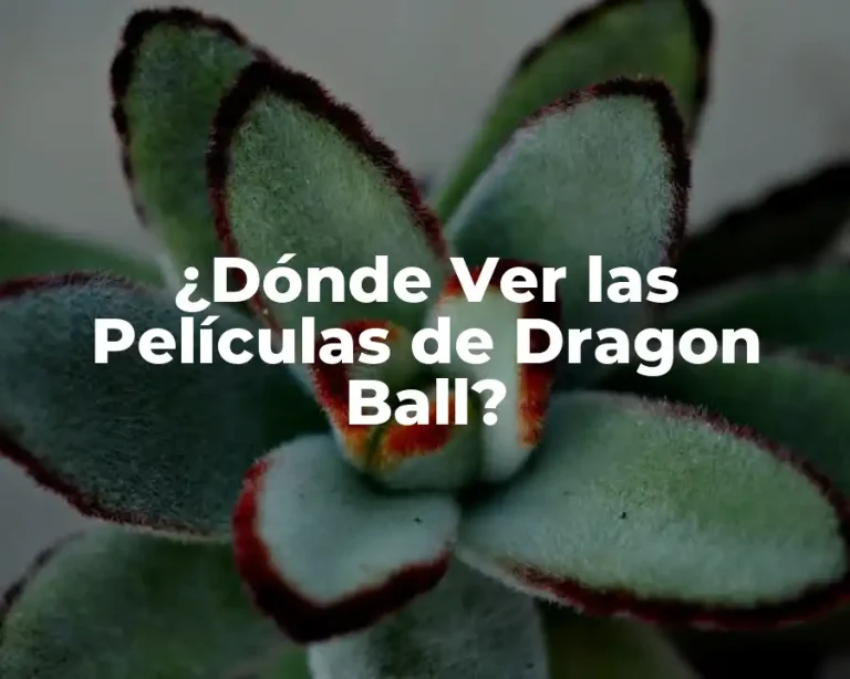 ¿Dónde Ver las Películas de Dragon Ball?