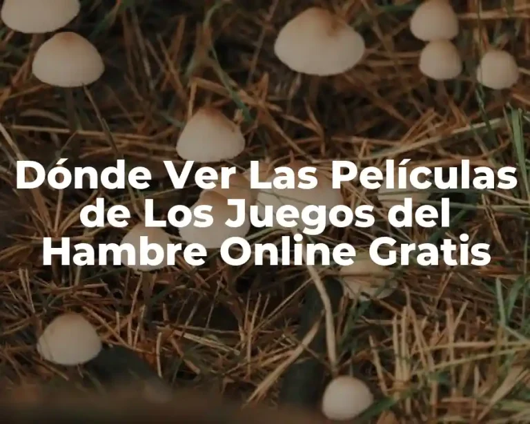 Dónde Ver Las Películas de Los Juegos del Hambre Online Gratis