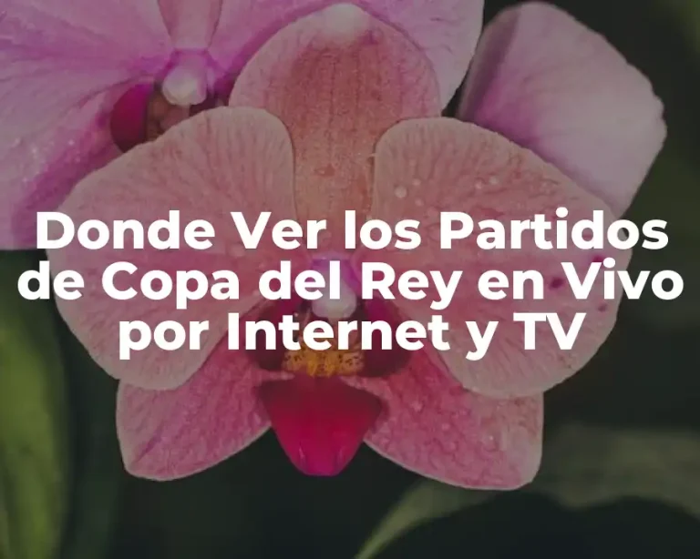 Donde Ver los Partidos de Copa del Rey en Vivo por Internet y TV