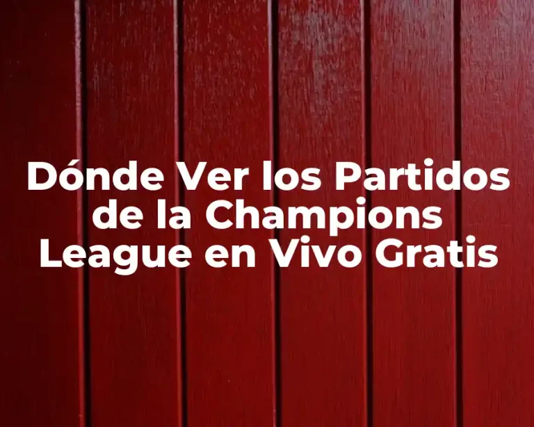 Dónde Ver los Partidos de la Champions League en Vivo Gratis