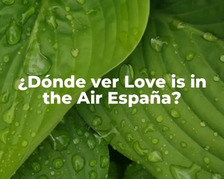 ¿Dónde ver Love is in the Air España?