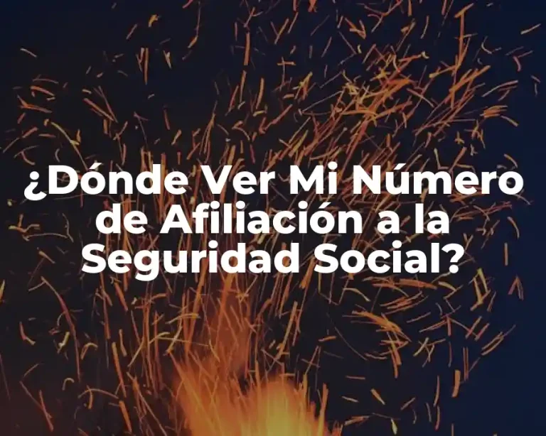 ¿Dónde Ver Mi Número de Afiliación a la Seguridad Social?