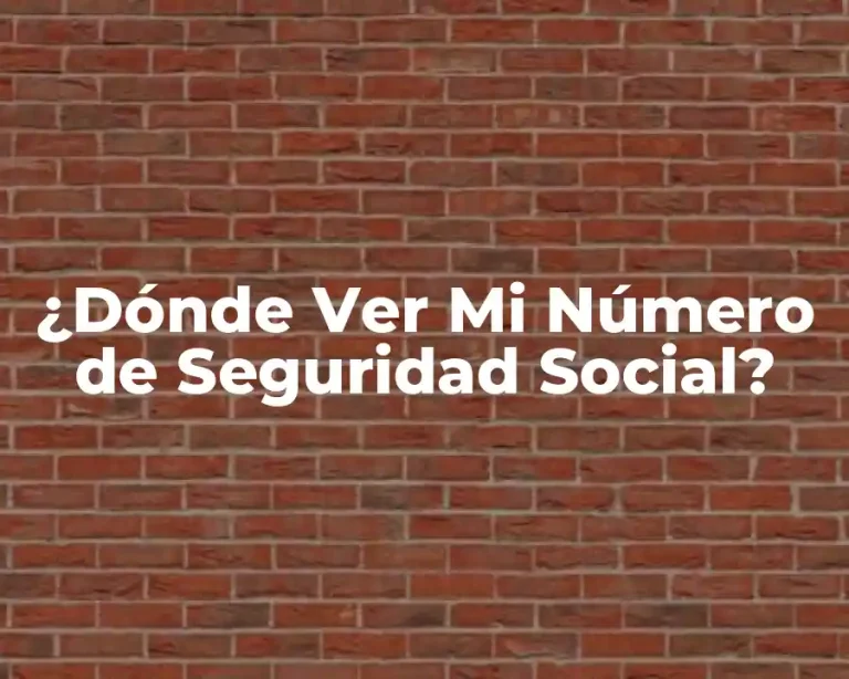 ¿Dónde Ver Mi Número de Seguridad Social?