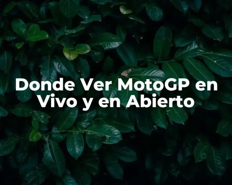 Donde Ver MotoGP en Vivo y en Abierto