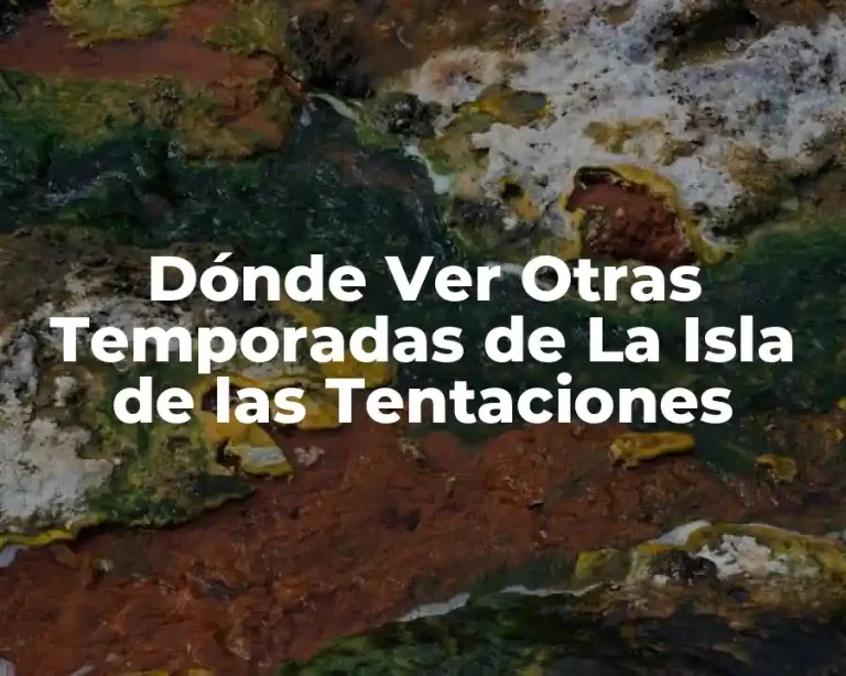 Dónde Ver Otras Temporadas de La Isla de las Tentaciones