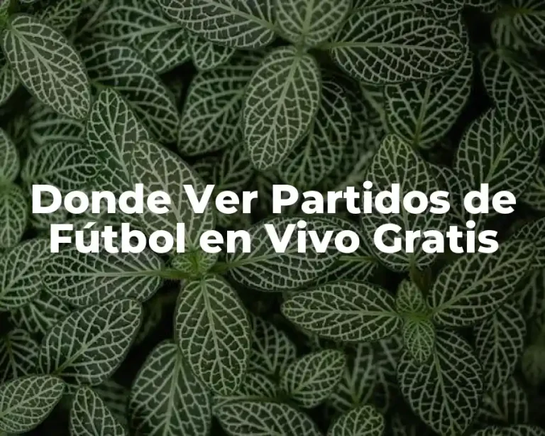 Donde Ver Partidos de Fútbol en Vivo Gratis
