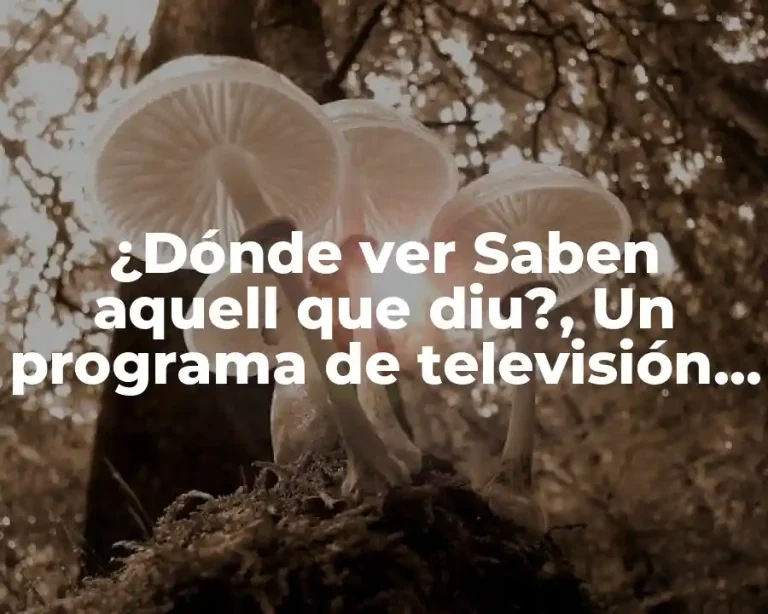 ¿Dónde ver Saben aquell que diu?, Un programa de televisión comprometido con la cultura