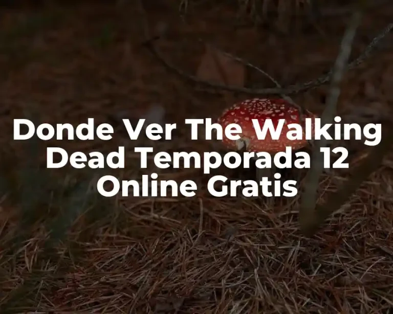 Donde Ver The Walking Dead Temporada 12 Online Gratis