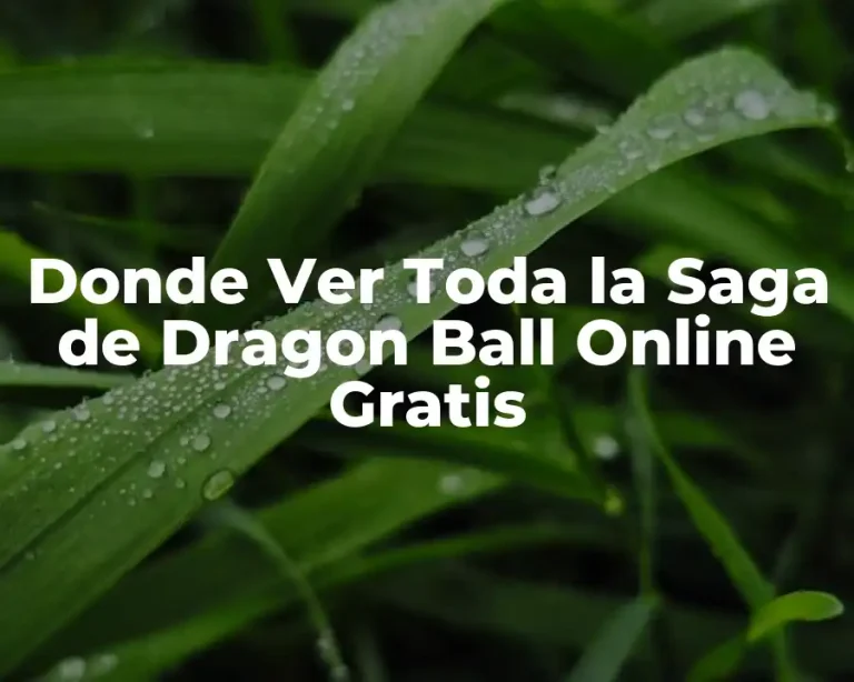 Donde Ver Toda la Saga de Dragon Ball Online Gratis